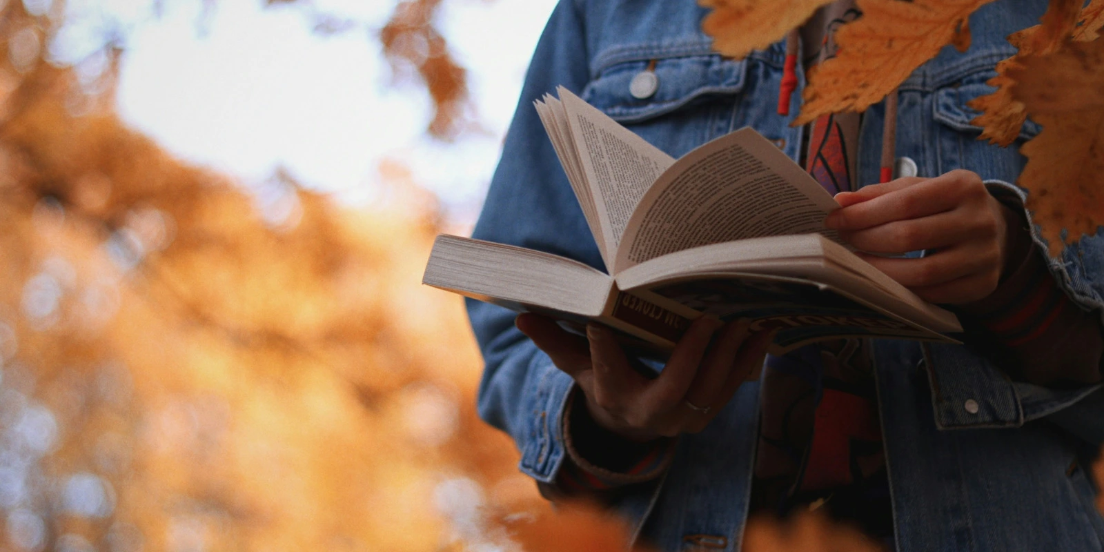 BUT TC à Rennes : Focus sur le Parcours