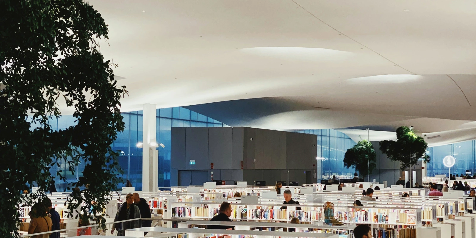 Découvrir le BUT à Troyes : Focus sur le TC