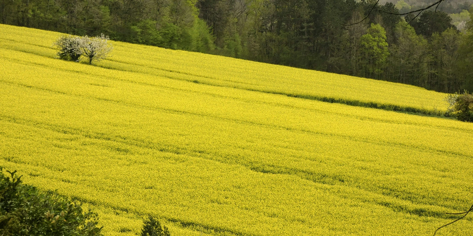 Les Atouts de l'IUT TC à Bordeaux