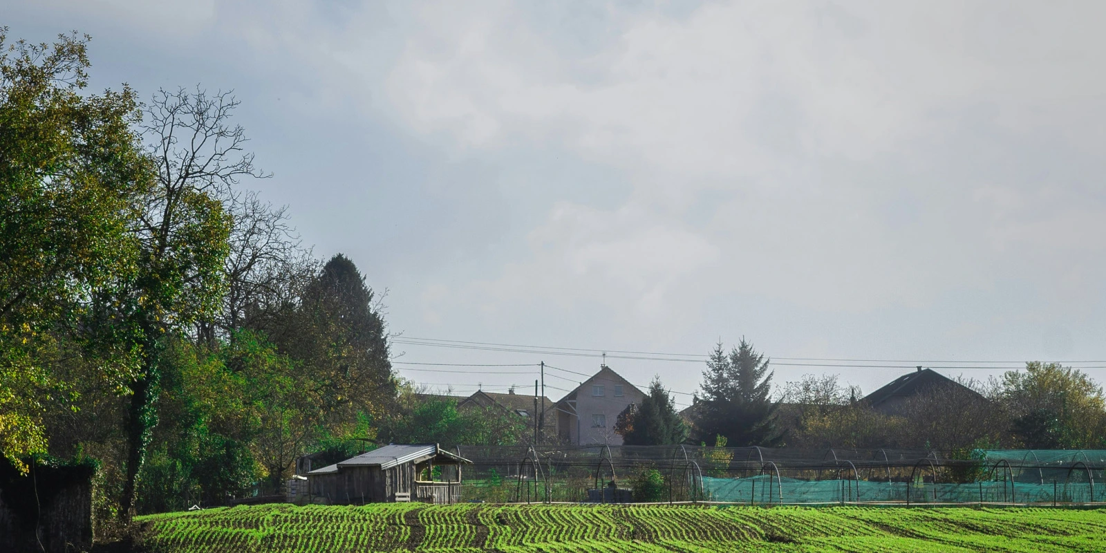 Master Après un BUT TC : Les Possibilités