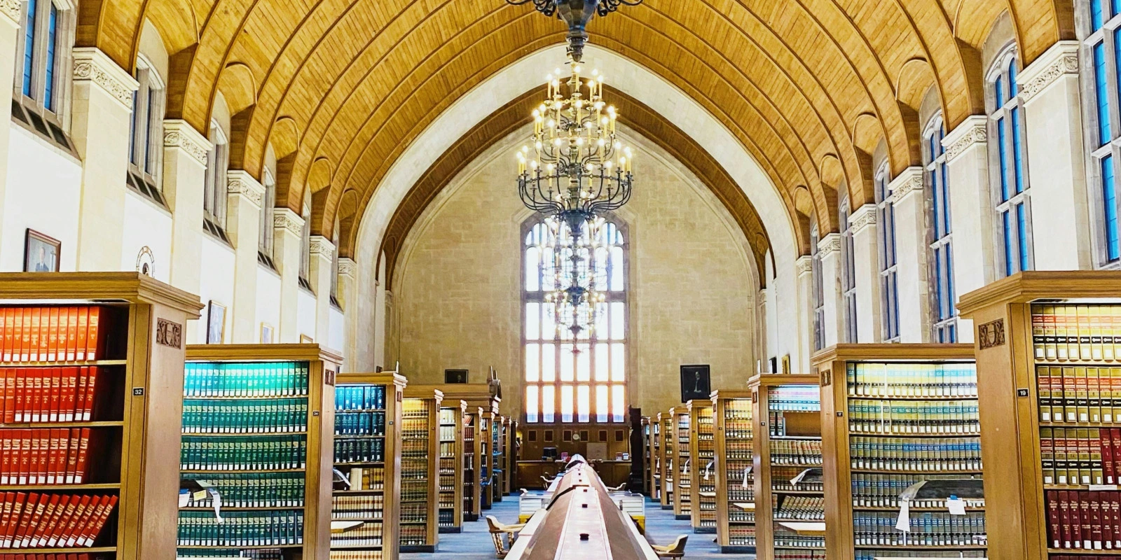 Qu'est-ce que le BUT TC (Techniques de Commercialisation) ?